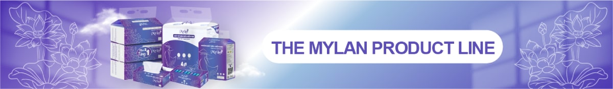 giấy Mylan